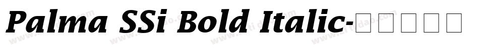 Palma SSi Bold Italic字体转换